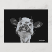 Snoot Boop, Animal ポストカード (正面)