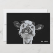 Snoot Boop, Animal 招待状 (正面)