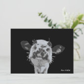 Snoot Boop, Animal 招待状 (スタンド正面)