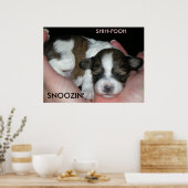 SNOOZIN'、2週間のシーズー（犬）プール、S... ポスター (キッチン)