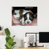 SNOOZIN'、2週間のシーズー（犬）プール、S... ポスター (ホームオフィス)