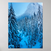 Snoqualmie Pass, Washington State. ポスター (正面)
