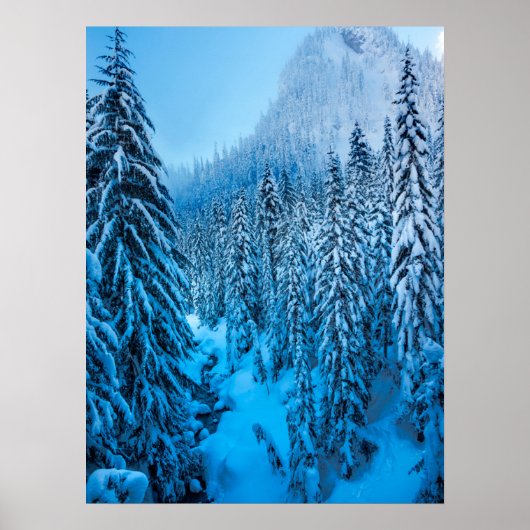 Snoqualmie Pass, Washington State. ポスター (正面)