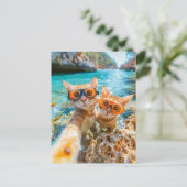 Snorkeling Cats in the Mediterranean Sea シーズンポストカード (スタンド正面)