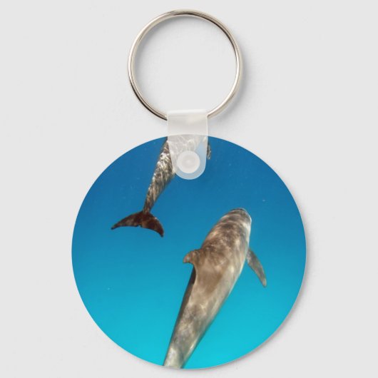 snorkeling with dolphins キーホルダー (正面)