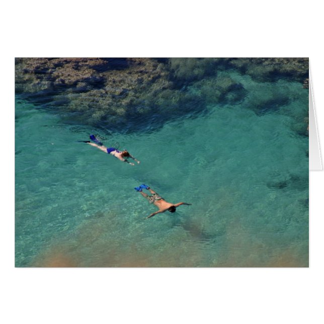 Snorklers 2 (正面横)