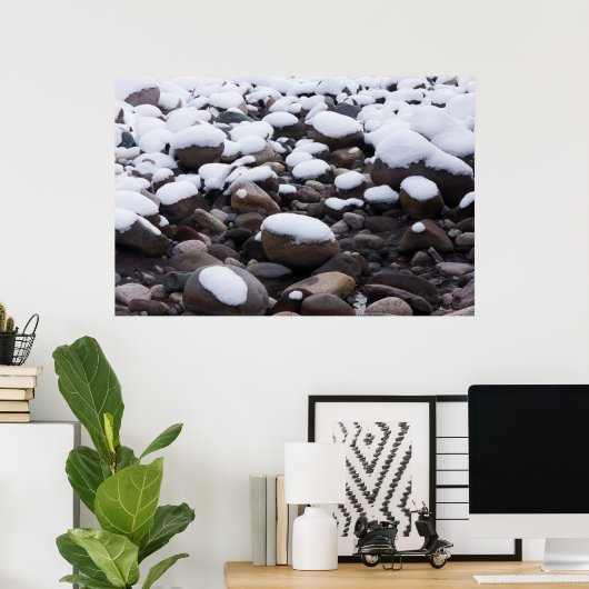 Snow And Rocks, Mt. Rainier National Park ポスター (ホームオフィス)