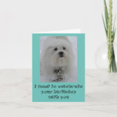 Snow Angels Coton Funny Birthday Card カード (正面)