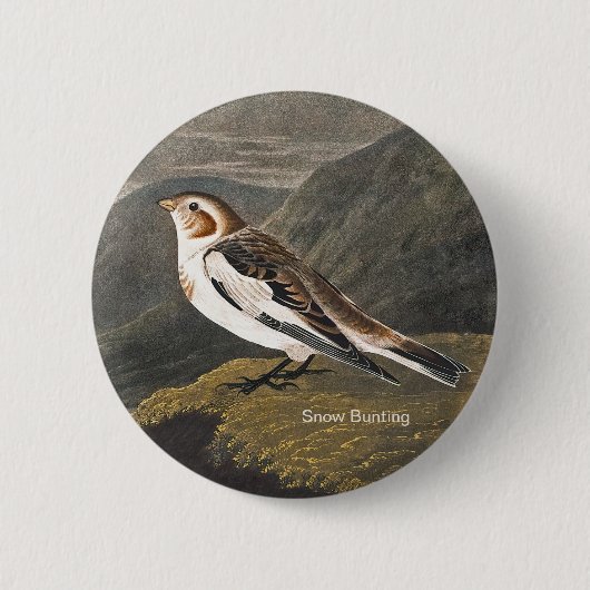 Snow Bunting by John James Audubon, Birders Bird 缶バッジ (正面)