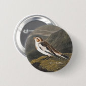 Snow Bunting by John James Audubon, Birders Bird 缶バッジ (正面&裏面)