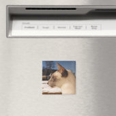 Snow Cat - Siamese Blue Pointプロフィール マグネット (インサイチュ (食洗機))