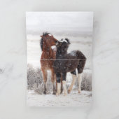 Snow Colts Greeting Card 招待状 (内部)