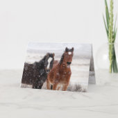 Snow Colts Greeting Card 招待状 (正面)
