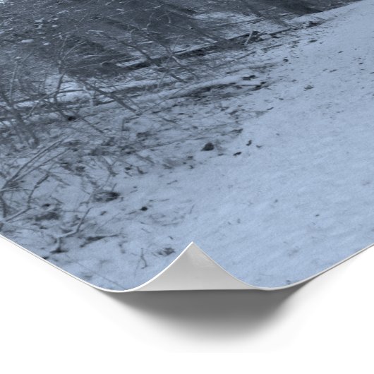 Snow Covered Hiking Trail 1 ポスター (角)