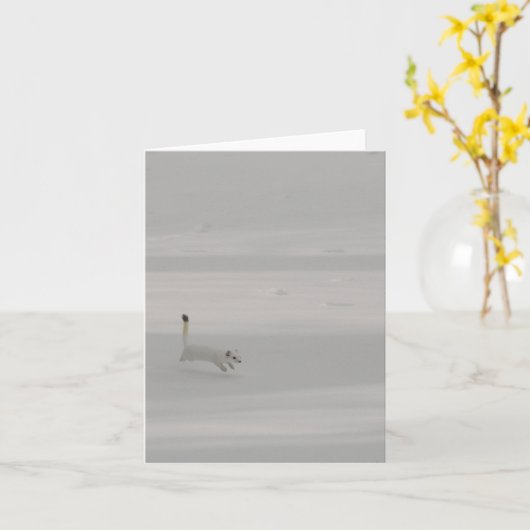 Snow Dance - 4" x 5.6" Notecard カード (黄色い花)