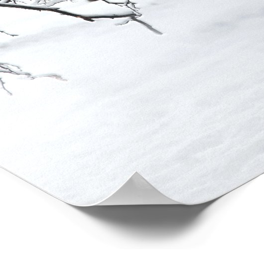 Snow Fox in Winter Woods ポスター (角)