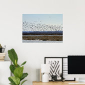 Snow Geese Taking off at Squaw Creek Refuge Poster ポスター (ホームオフィス)