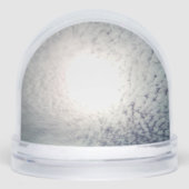 Snow Globe (正面)