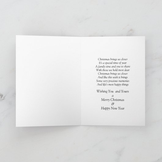 SNOW GLOBE – クリスマス – スペシャルフレンド (内部)