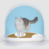 Snow Globe - Cat Looking Up (正面)