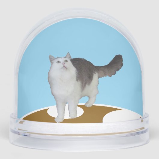 Snow Globe - Cat Looking Up (正面)