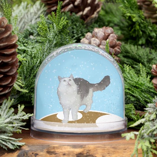 Snow Globe - Cat Looking Up (冬)