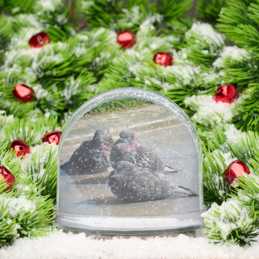 Snow Globe - Pigeons (クリスマス)