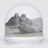 Snow Globe - Pigeons (裏面)