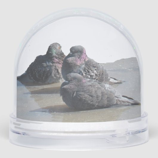 Snow Globe - Pigeons (裏面)