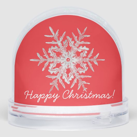 Snow Globe VINTAGE ANGEL  (裏面)