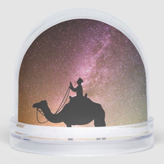 Snow Globes (正面)