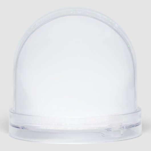 Snow Globes (裏面)