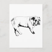 Snow-Hello Bulldog Postcard ポストカード (正面)