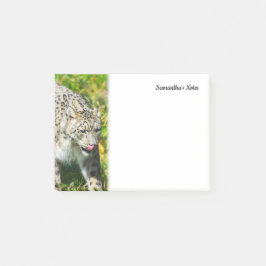 Snow Leopardメモ ポストイット