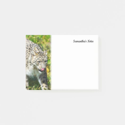 Snow Leopardメモ ポストイット (正面)