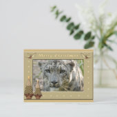 Snow Leopard-BCR-c-158コピー ポストカード (スタンド正面)