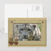 Snow Leopard-BCR-c-158コピー ポストカード (正面/裏面)