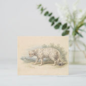 Snow Leopard by Charles Hamilton Smith ポストカード (スタンド正面)
