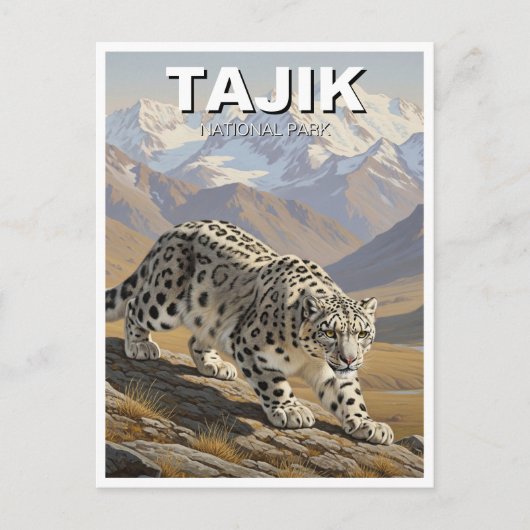 Snow Leopard in Tajik National Park Tajikistan ポストカード (正面)