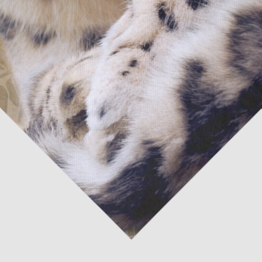 Snow Leopard Lying Down 薄葉紙 (詳細)