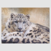 Snow Leopard Lying Down 薄葉紙 (正面)