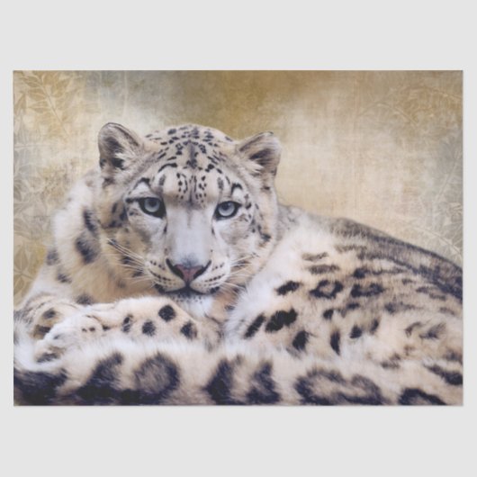 Snow Leopard Lying Down 薄葉紙 (正面)
