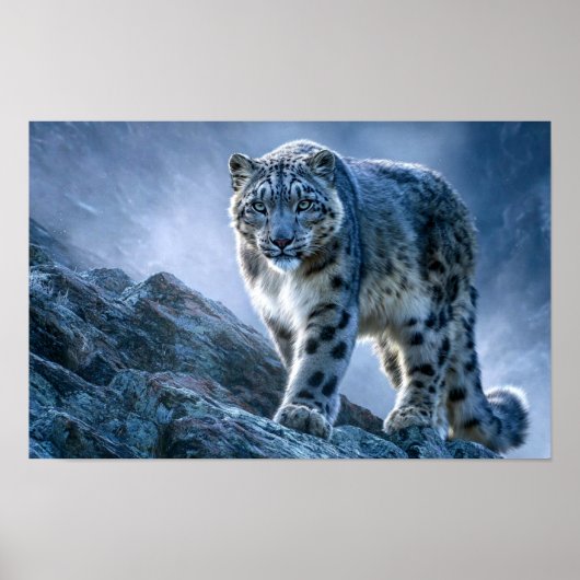 Snow Leopard on Mountain Peak – Wildlife Nature  ポスター (正面)
