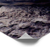 Snow leopard poster ポスター (角)