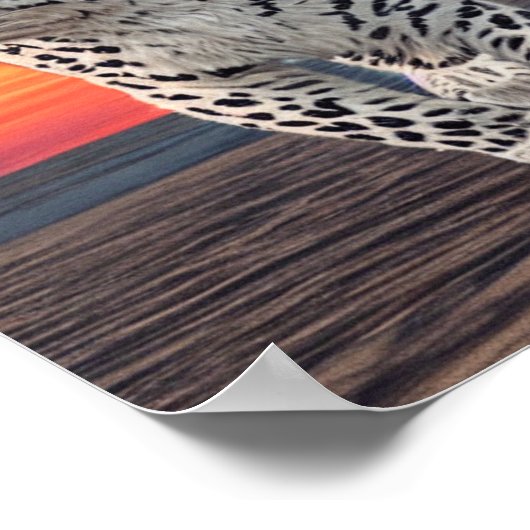 Snow Leopard Walking on the Beach During a Sunset ポスター (角)