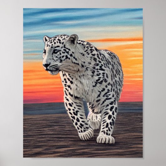 Snow Leopard Walking on the Beach During a Sunset ポスター (正面)