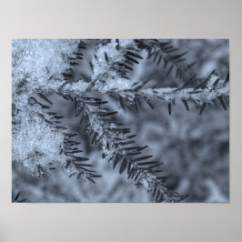 Snow on Pine Needles ポスター