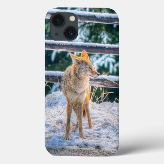 Snow on Ranchのコヨーテ狩り- Wildlife Photo Case-Mate iPhoneケース (裏面)