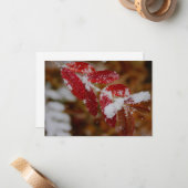 Snow on Red Leaves ノートカード (正面/裏面インサイチュ)