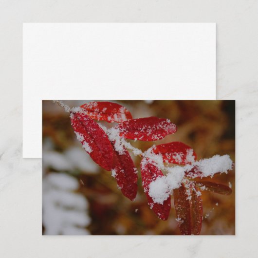 Snow on Red Leaves ノートカード (正面/裏面)